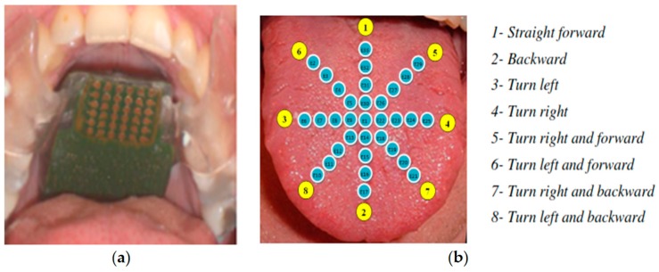 Figure 10