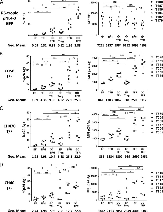 FIG 2