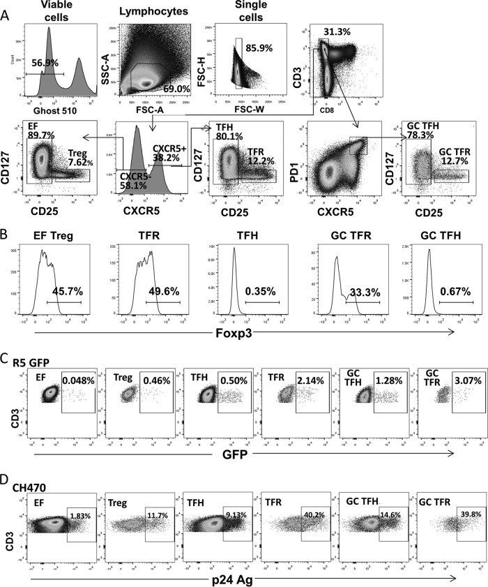 FIG 1