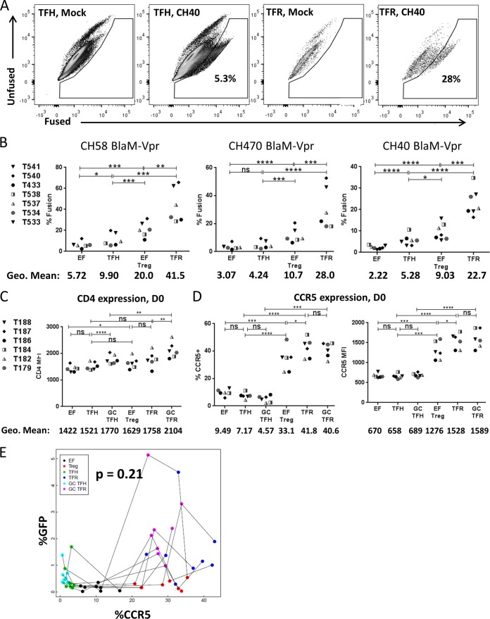 FIG 6