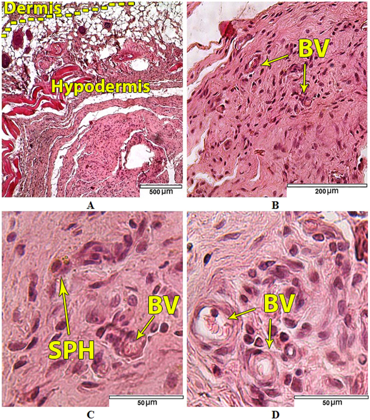 Figure 16