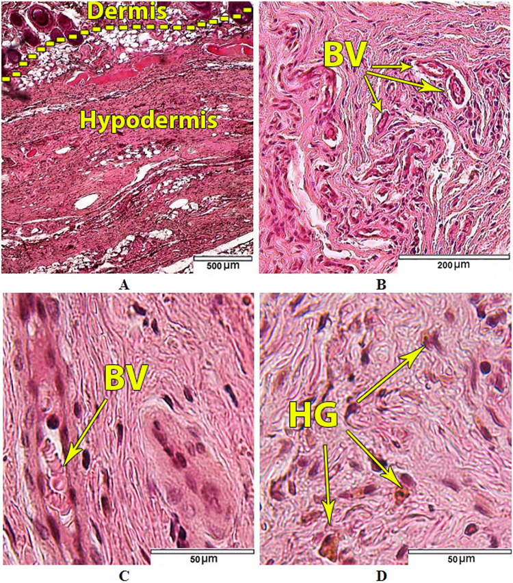 Figure 15