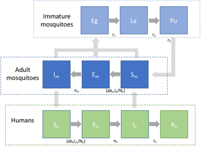 Figure 2.