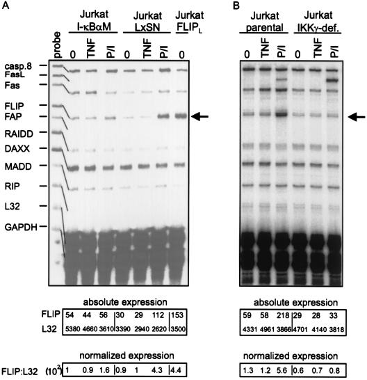 FIG. 5