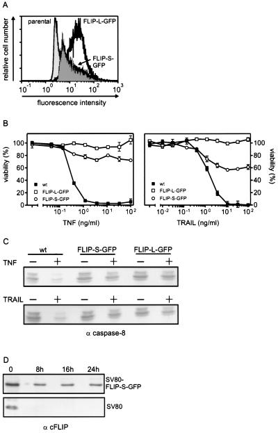 FIG. 7