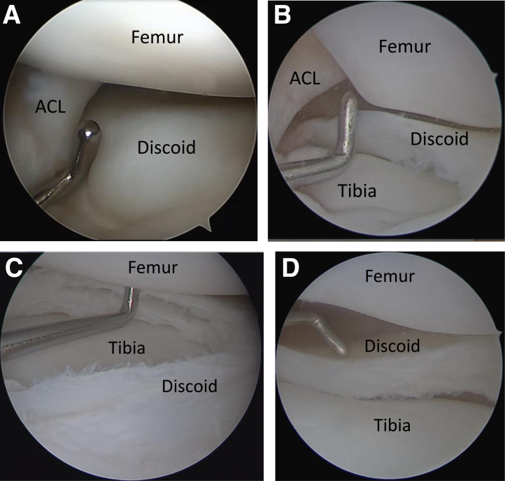 Figure 2