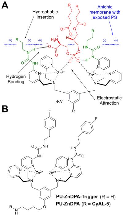 Scheme 6