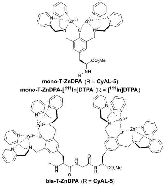 Scheme 7