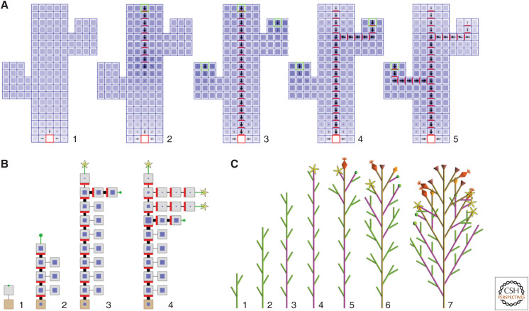 Figure 4.