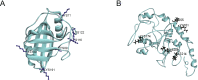 Fig. 8