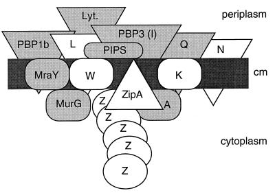 FIG. 11