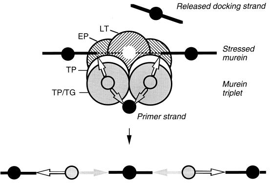 FIG. 5