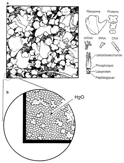 FIG. 9