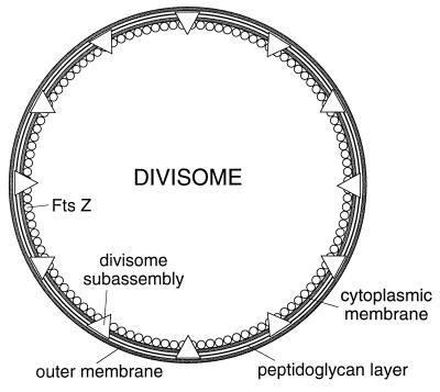 FIG. 10