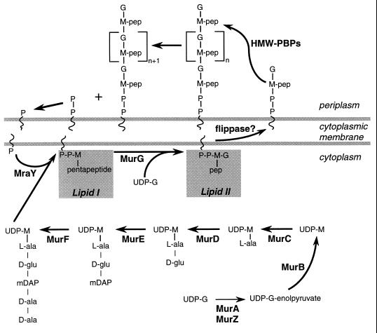 FIG. 3