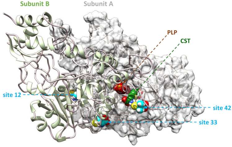 Figure 6