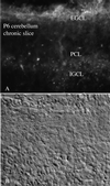 FIG. 14.