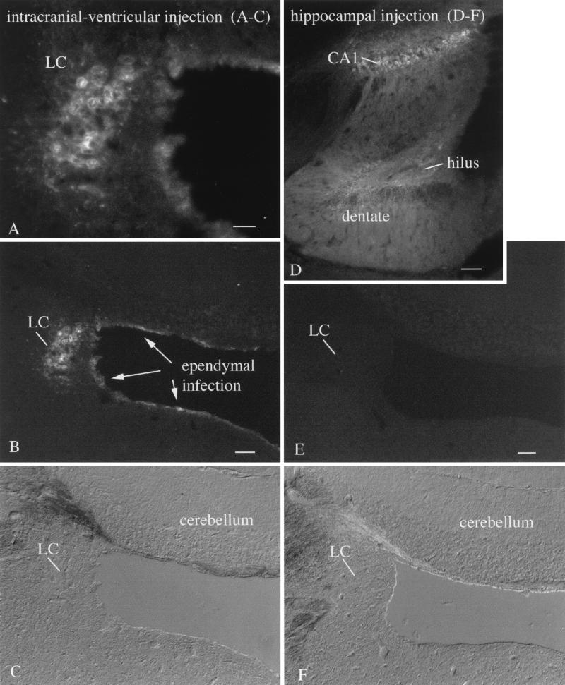 FIG. 5.