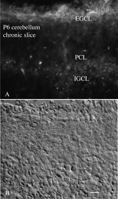 FIG. 14.