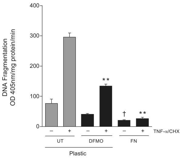 Fig.7