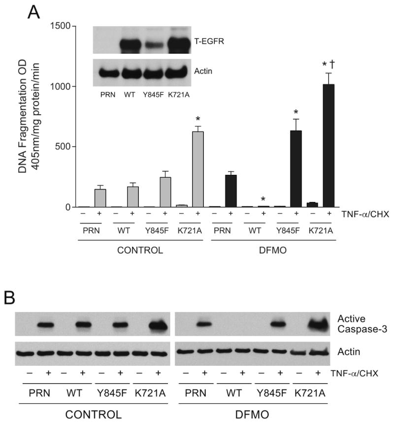 Fig.4