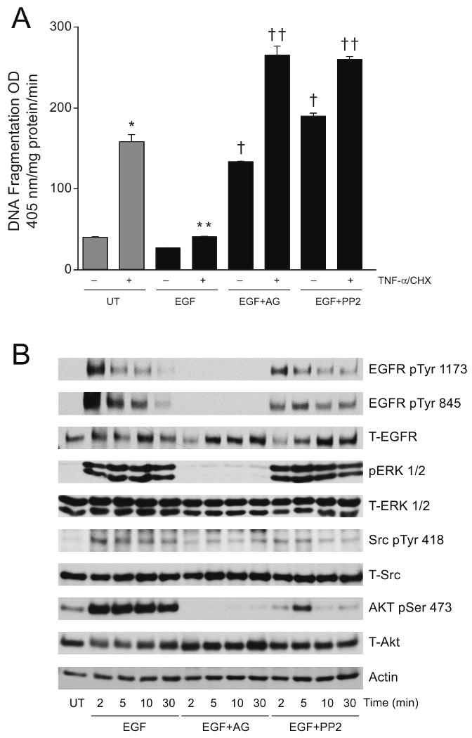 Fig.3