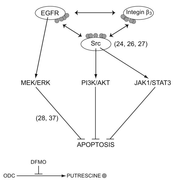 Fig.8