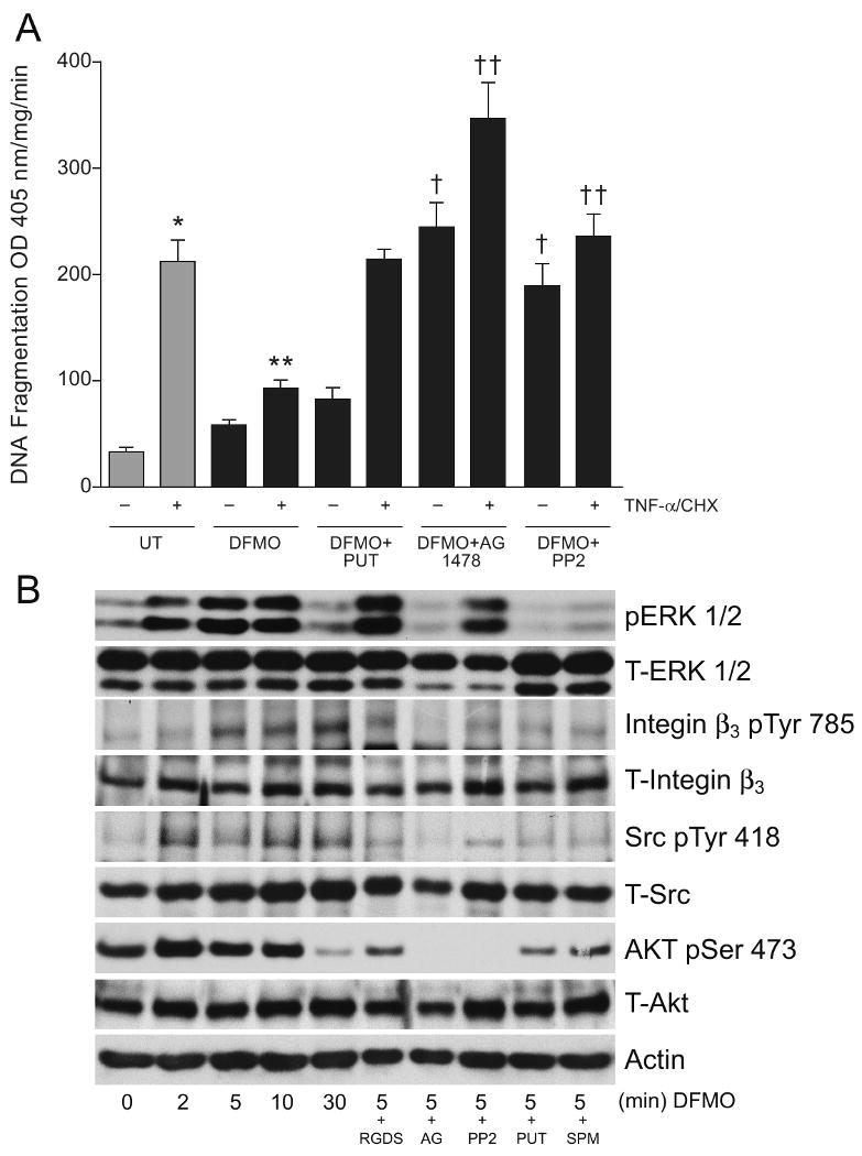 Fig.2