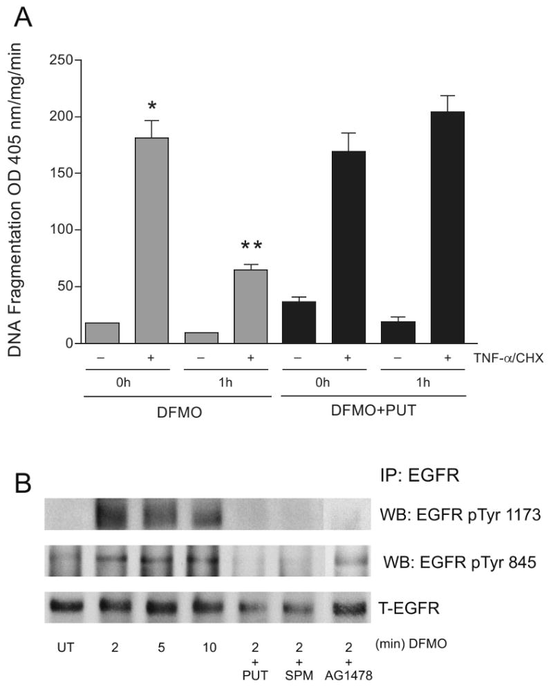 Fig.1