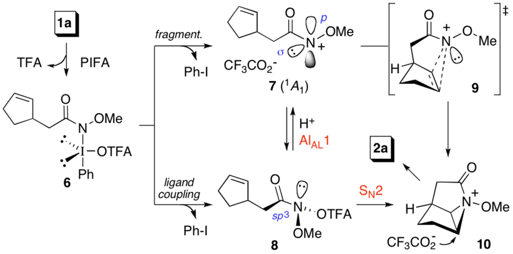 Scheme 1