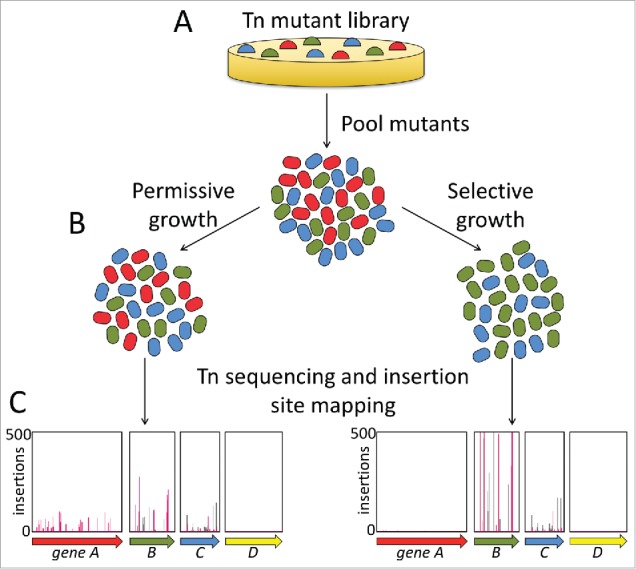 Figure 1.