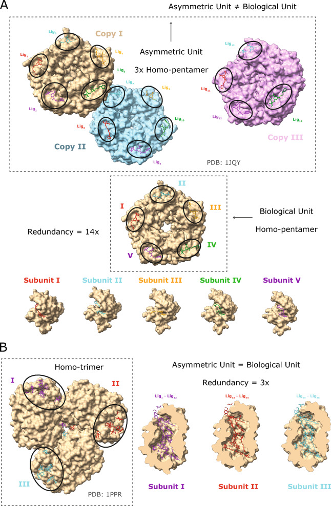 Fig. 1