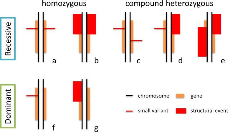 Fig. 2