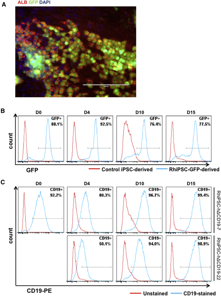 Figure 4