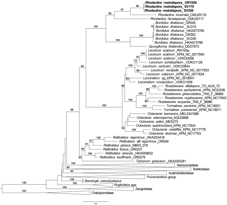 Figure 1.