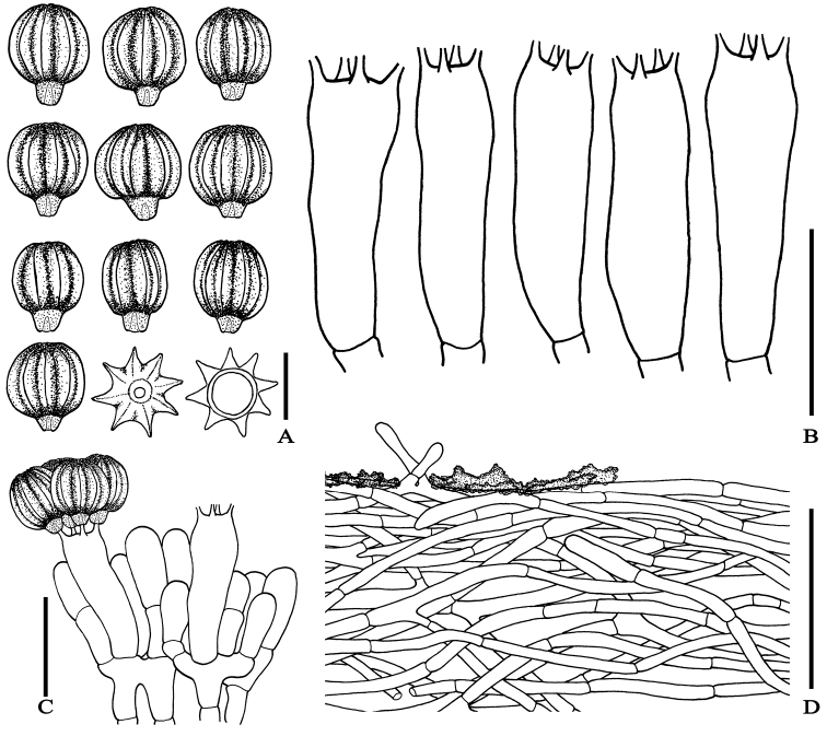 Figure 3.