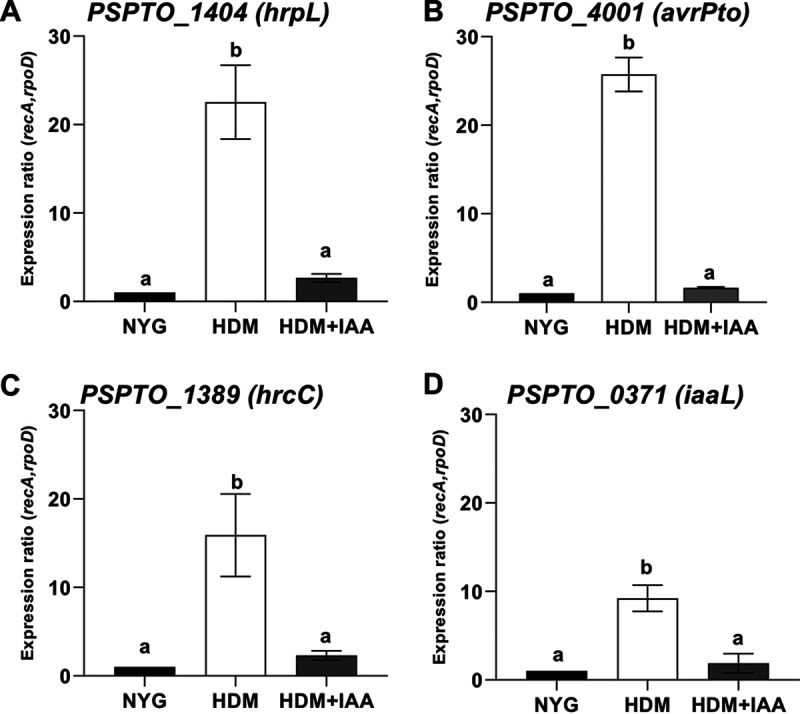 FIG 3