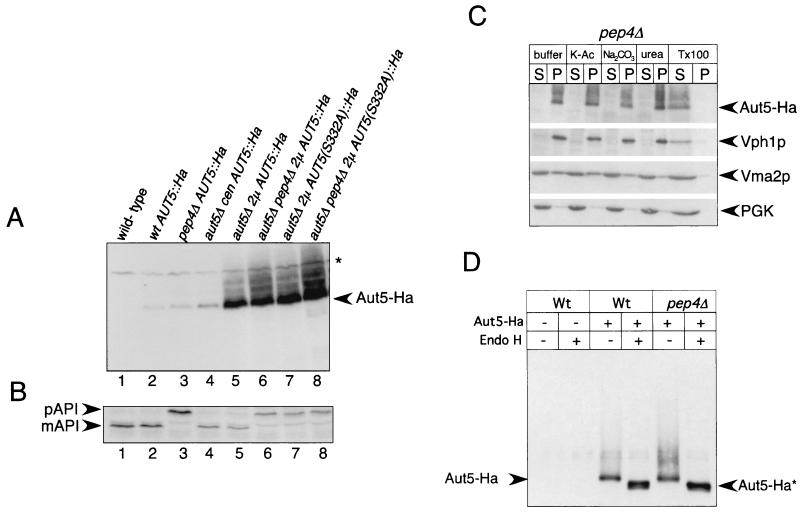 FIG. 5