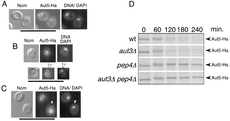 FIG. 6