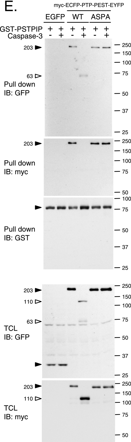 FIG. 8.