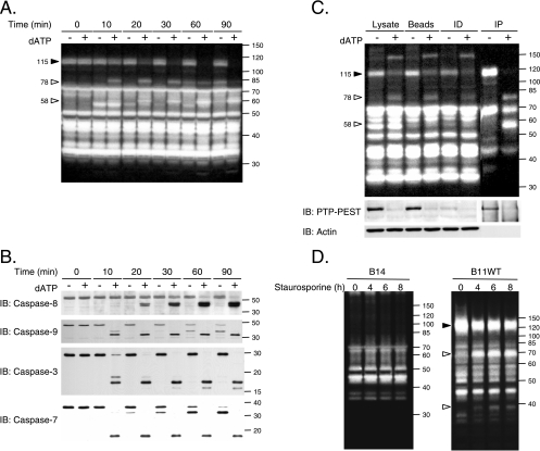 FIG. 4.