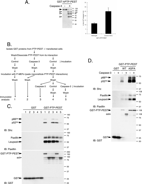 FIG. 8.