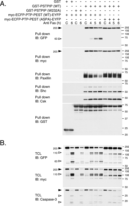 FIG. 9.