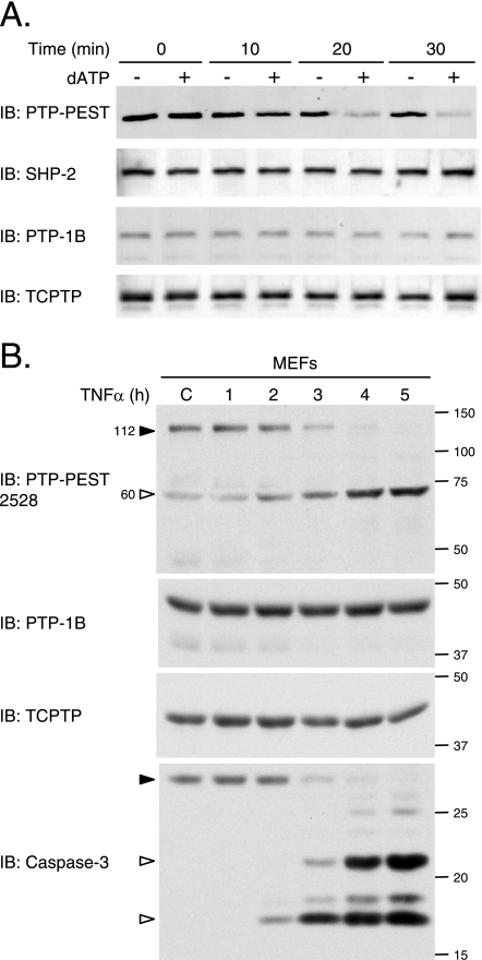 FIG. 5.