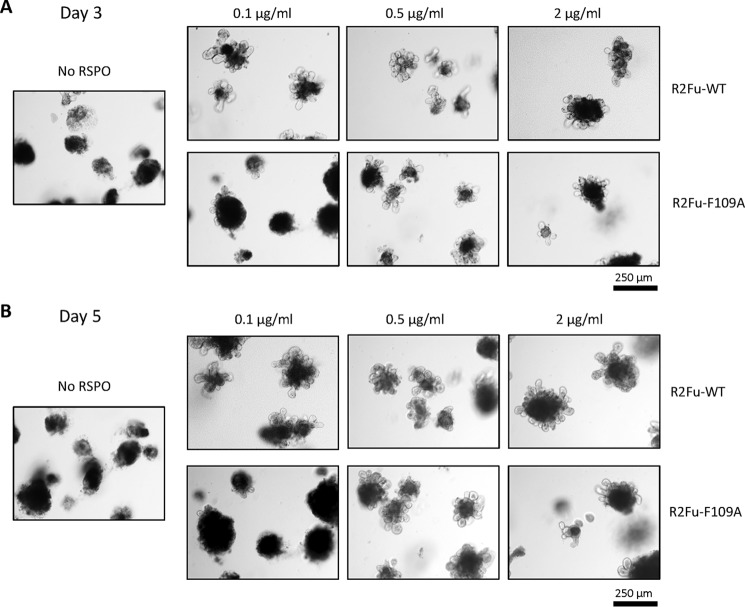 Figure 5.