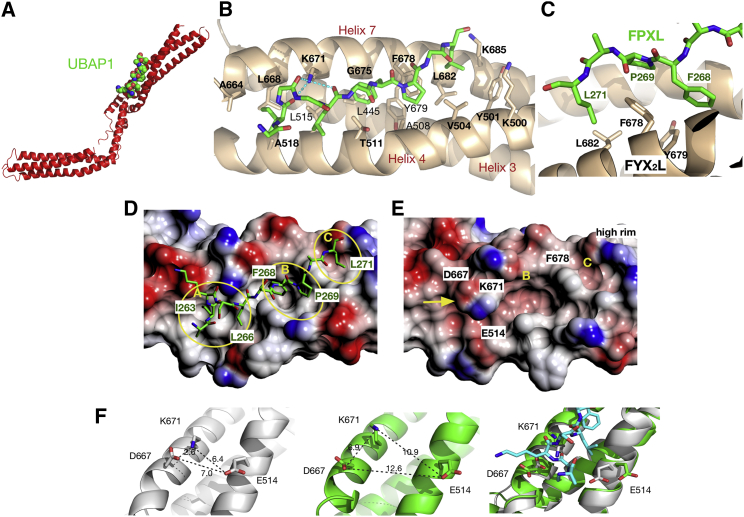 Figure 4