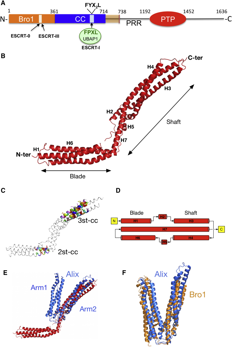 Figure 1