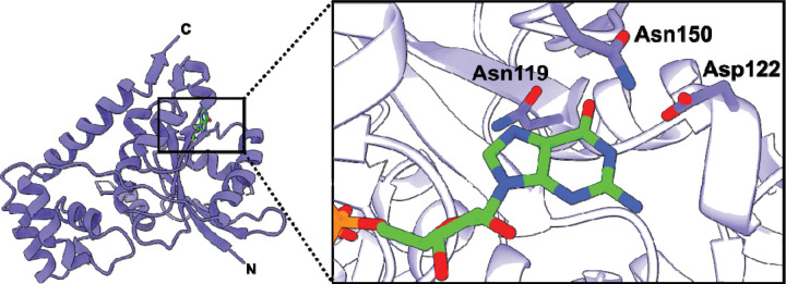 Fig. 3.