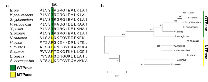 Fig. 5.