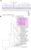 Fig 3